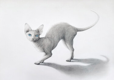 图画 标题为“Cat” 由Nataliia Khoruzhenko, 原创艺术品, 石墨