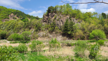 Φωτογραφία με τίτλο "Roots and Resilience" από Yeon-Gyeong Seo (Seo), Αυθεντικά έργα τέχνης, Ψηφιακή φωτογραφία