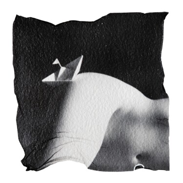 Black and White Paper Ship on Nude woman's thighs Polaroid "Black and White Pap…" başlıklı Fotoğraf Vladimir Borele tarafından, Orijinal sanat, Analog Fotoğrafçılık