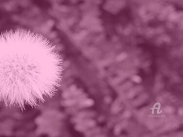 「Abstract pink tail…」というタイトルの写真撮影 Cédric Hajijiによって, オリジナルのアートワーク, 操作する