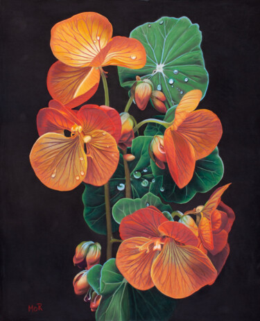 Nasturtium in Bloom Painting titled "Nasturtium in Bloom" by Dietrich Moravec, Original Artwork, Pastel