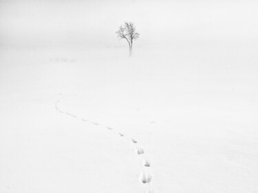 Photography titled "In winter fog" by Jan Brdej, Original Artwork, Digital Photography