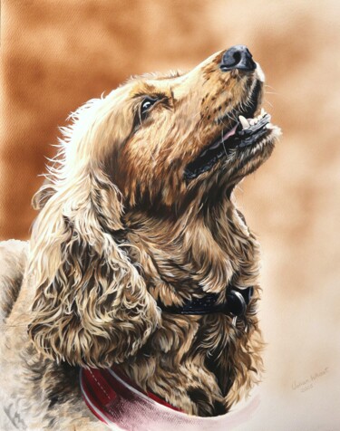 Cocker Spaniel Schilderij getiteld "Cocker Spaniel" door Julian Wheat, Origineel Kunstwerk, Acryl