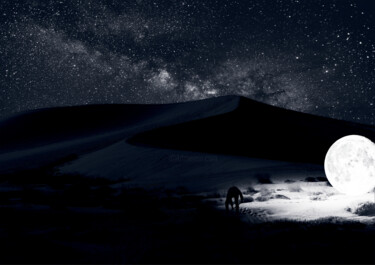 Digital Arts titled "Moonshine" by Elio Veneziani, Original Artwork, 2D Digital Work Mounted on Other rigid panel