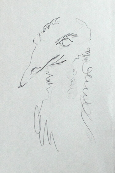 제목이 "ostrich sketch"인 그림 Pavel Minchenia로, 원작, 연필