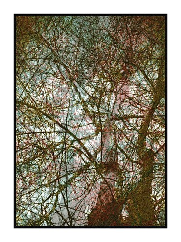 Printmaking titled "Symbolic Roots" by Banu Muazzez Arpalı, Original Artwork, Digital Photography