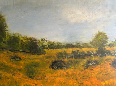 "Sunny Countryside" başlıklı Tablo Nsfreesoul tarafından, Orijinal sanat, Akrilik Ahşap Sedye çerçevesi üzerine monte edilmiş