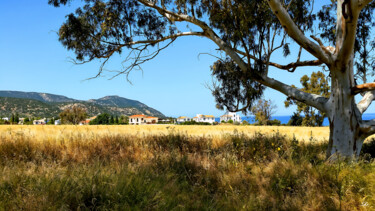 A Coastal Vista Beneath the Branches Photography titled "A Coastal Vista Ben…" by Sergei Gundorov, Original Artwork, Digital Photography