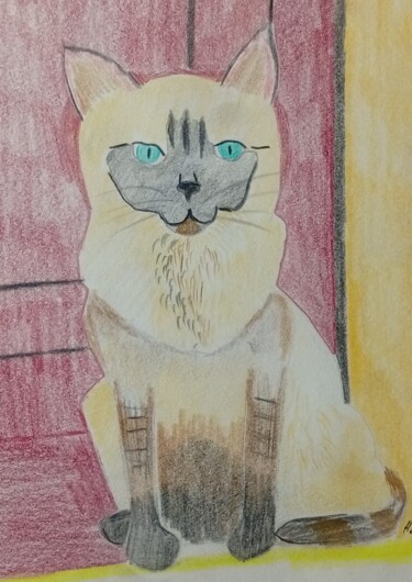 Pintura titulada "Katze #12" por Hatice Diker, Obra de arte original, Conté
