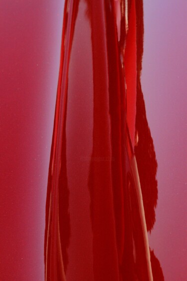 Fotografie getiteld "Blood Red Moody Bon…" door Incisive Fool, Origineel Kunstwerk, Digitale fotografie