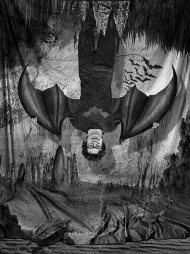 La chauve-souris