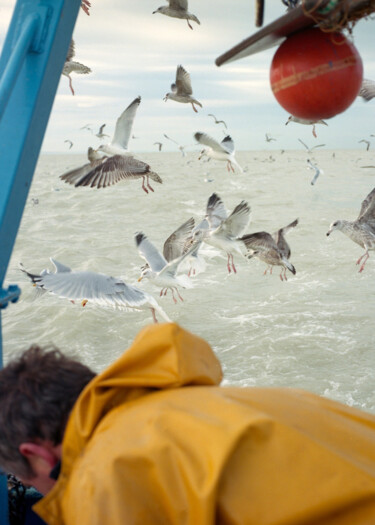 Photographie intitulée "view from the boat " par Mahaut Delobelle, Œuvre d'art originale, Impression numérique