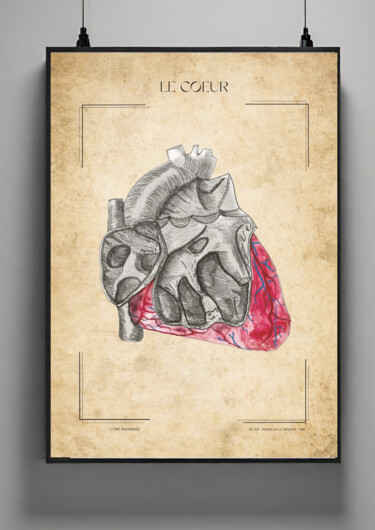 제목이 "Le coeur"인 그림 Belkis Rabie로, 원작, 연필