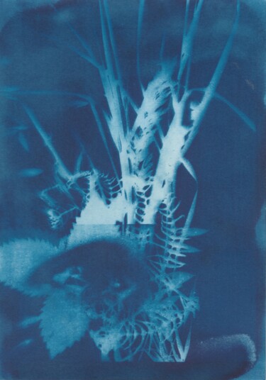 Gravures & estampes intitulée "Œil-champs 1" par Céline Foussadier, Œuvre d'art originale, Impression numérique