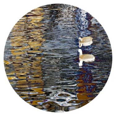 Photographie intitulée "Reflets marins Norm…" par Daniel Gautier, Œuvre d'art originale, Bois