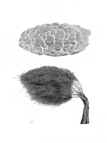 Dessin intitulée "Le vent parle fort" par Geralda Van Der Es, Œuvre d'art originale, Encre
