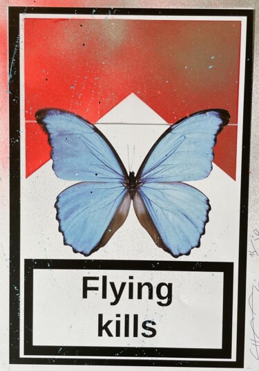 Drawing titled "FLYING KILLS PAPILL…" by Johan  Chaaz, Original Artwork, Spray paint