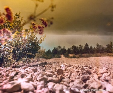 "DAY1" başlıklı Fotoğraf Kamien Cholewinski tarafından, Orijinal sanat, Alüminyum