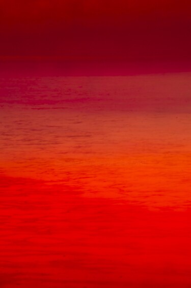 Фотография под названием "ABSTRACTION # 20 RO…" - Dominique Cahier, Подлинное произведение искусства, Бумага