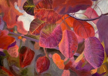 Drawing titled "Cotinus Coggygria R…" by Ross Gash, Original Artwork, Pastel