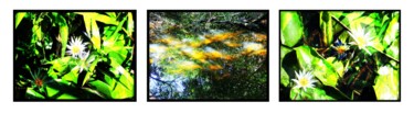 제목이 "Nénuphars & Poisson…"인 디지털 아트 Evelyne Chevallier로, 원작, 종이