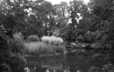 Photography titled "flaure Parc de Baga…" by Peg, Original Artwork, Paper
