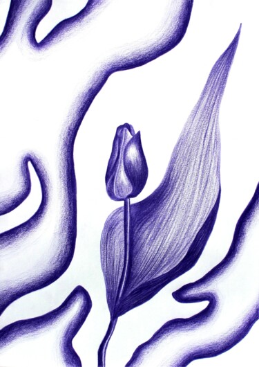 Σχέδιο με τίτλο "Tulipe Violette" από Studio Cutis, Αυθεντικά έργα τέχνης, Ψηφιακή εκτύπωση