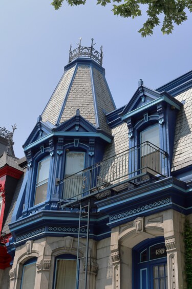 「Oriel bleu avec cou…」というタイトルの写真撮影 Joseph Durocherによって, オリジナルのアートワーク, デジタル