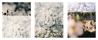 Fotografia intitulada "Vision rudbeckia et…" por Julia Genet, Obras de arte originais, Fotografia de filme