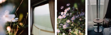Photography titled "Vision anémone tran…" by Julia Genet, Original Artwork, Analog photography