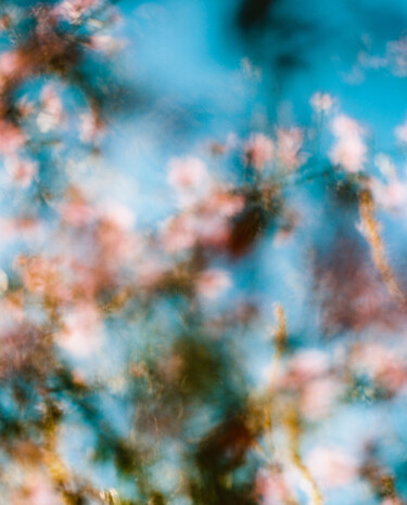 Vision fleurs II "Vision fleurs II" başlıklı Fotoğraf Julia Genet tarafından, Orijinal sanat, Analog Fotoğrafçılık