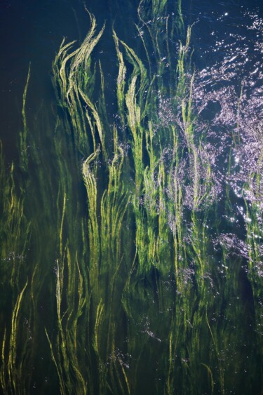 "CUTS-Mermaid strands" başlıklı Fotoğraf Olivier Cuvelette tarafından, Orijinal sanat, Dijital baskı