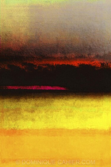 摄影 标题为“ABSTRACTION # 13” 由Dominique Cahier, 原创艺术品, 纸