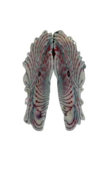 Rorschach revisité gris et rouge Sculptuur getiteld "Rorschach revisité…" door Audrey Steiner, Origineel Kunstwerk, Plastic
