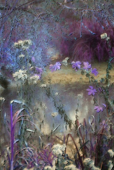 Digital Arts titled "Un jardin extraordi…" by Michel Guillaumeau, Original Artwork, Paper