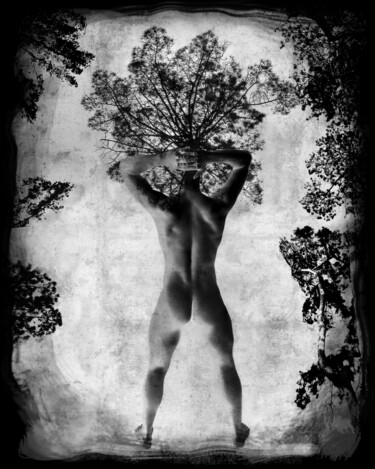 摄影 标题为“homme-arbre-1” 由Daniel Nassoy, 原创艺术品, 数字打印