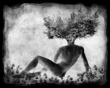 摄影 标题为“homme-arbre-2” 由Daniel Nassoy, 原创艺术品, 数字打印
