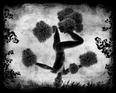 "homme-arbre-8" başlıklı Fotoğraf Daniel Nassoy tarafından, Orijinal sanat, Dijital baskı