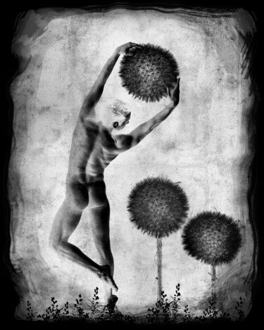 Фотография под названием "homme-fleur-pissenl…" - Daniel Nassoy, Подлинное произведение искусства, Цифровая печать