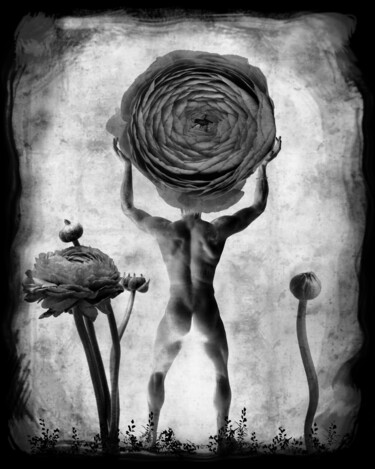 Fotografia intitolato "homme-fleur-renoncu…" da Daniel Nassoy, Opera d'arte originale, Stampa digitale