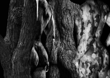 Photography titled "3-hommes-écorces" by Daniel Nassoy, Original Artwork, Digital Print