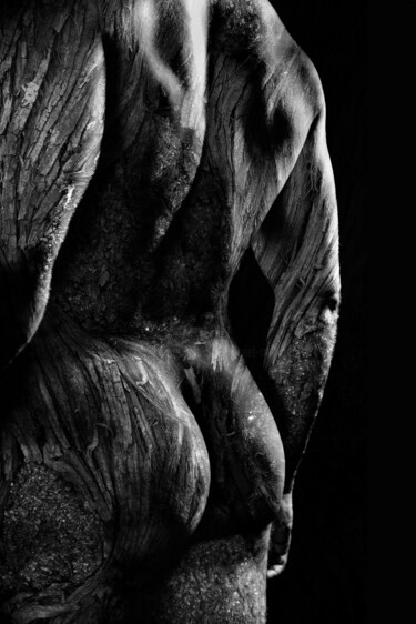 "crea-Jean-Franco" başlıklı Fotoğraf Daniel Nassoy tarafından, Orijinal sanat, Dijital baskı