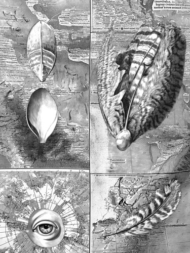Gravures & estampes intitulée "Mimèsis, Vol. 3 , N…" par Balthazar Convert, Œuvre d'art originale, Gravure