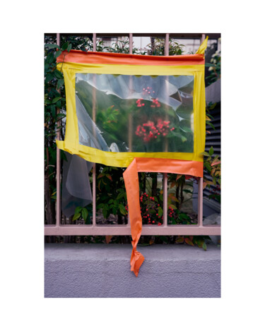 Fotografie getiteld "FRAMED-Soft frame" door Olivier Cuvelette, Origineel Kunstwerk, Digitale afdruk