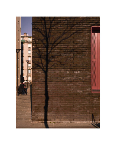 Photography titled "CUTS-Tree at the co…" by Olivier Cuvelette, Original Artwork, Digital Print