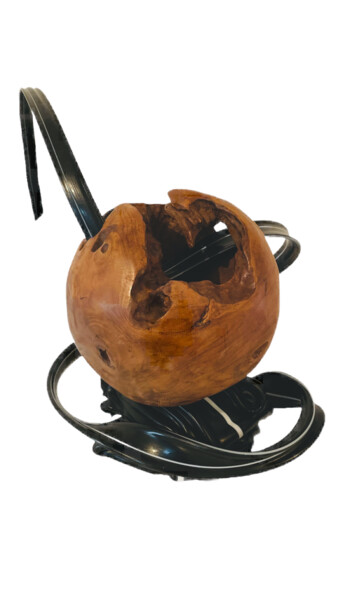 Sculpture intitulée "Phagocytose" par Audrey Steiner, Œuvre d'art originale, Bois