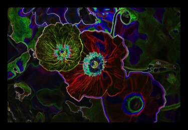 数字艺术 标题为“CoronaFlowers, Séri…” 由Danielle Aspis, 原创艺术品, 数字打印