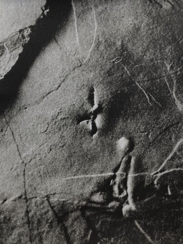 Fotografia intitolato "Ombrilh 14" da Leah Desmousseaux, Opera d'arte originale, fotografia a pellicola