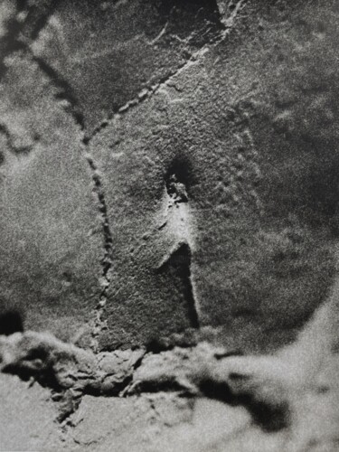 Fotografie getiteld "Ombrilh 6" door Leah Desmousseaux, Origineel Kunstwerk, Film fotografie