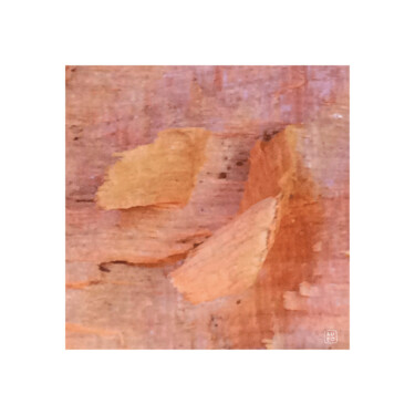 Photographie intitulée "SUTO 4" par Suto, Œuvre d'art originale, Aluminium